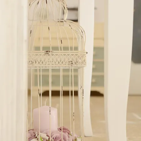 Mescia Alba X Ap * Gallipoli