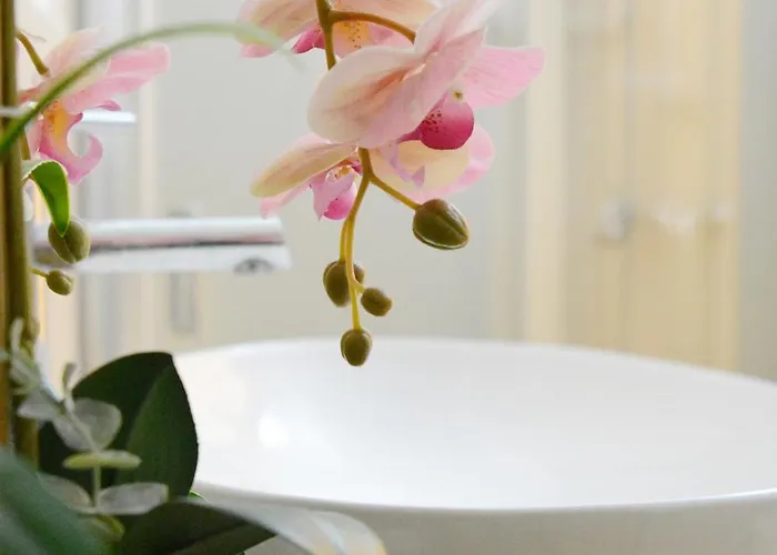 Mescia Alba X Ap Apartmán Gallipoli